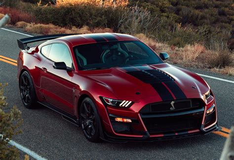 mustang shelby gt500 2019
